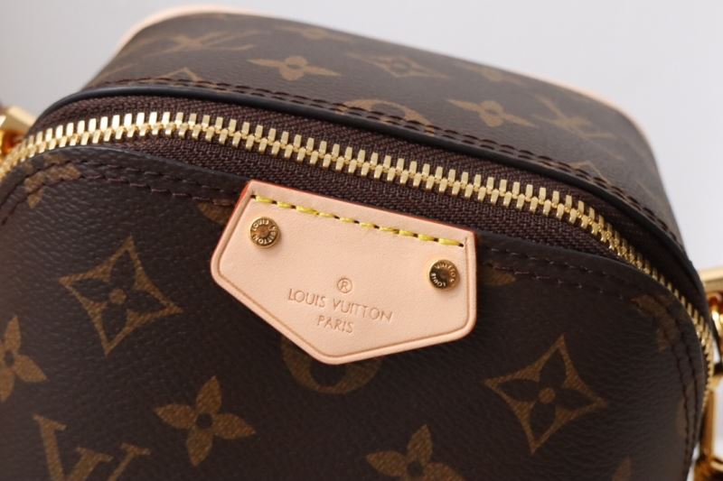Louis Vuitton Satchel Bags